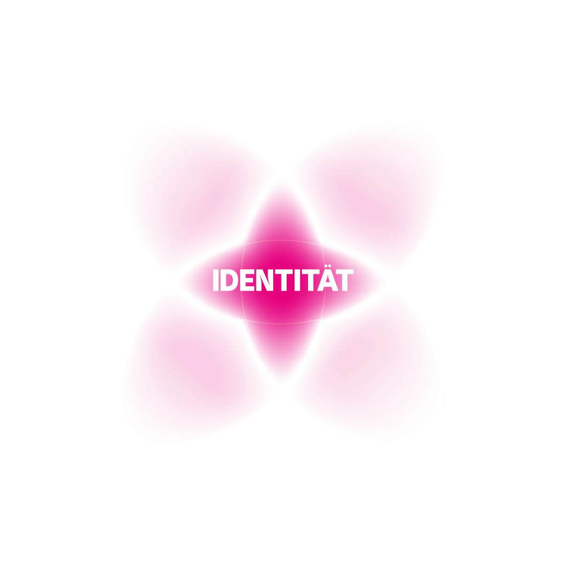 Identity-Wirkfelder: Mensch, Leadership, Organisation, Marke